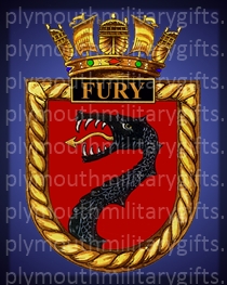 HMS Fury Magnet